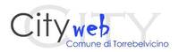 City Web Torrebelvicino